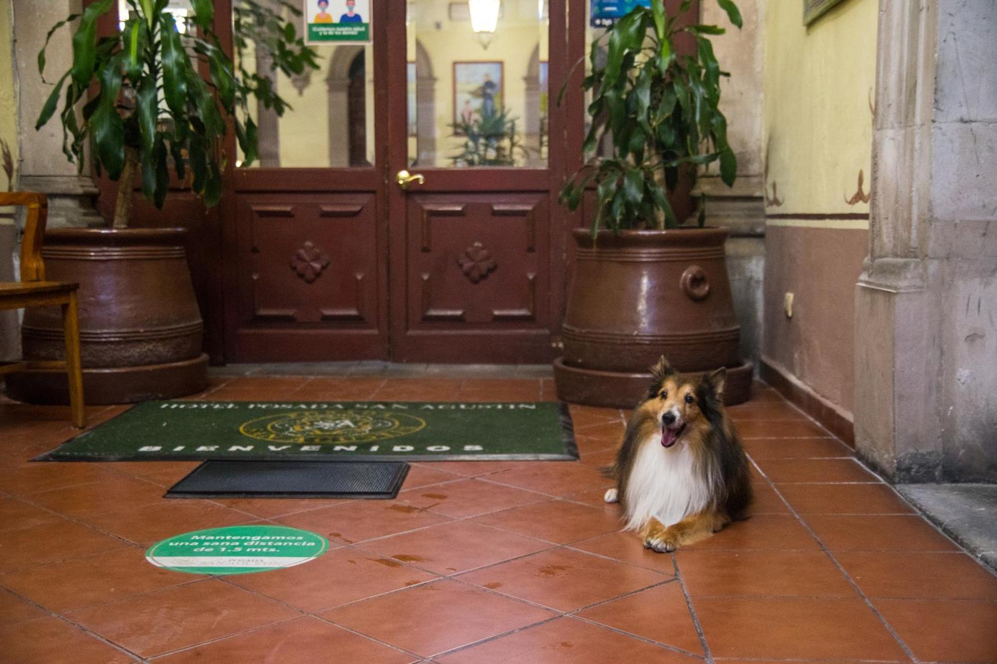 Hotel Posada San Agustin Durango Kültér fotó