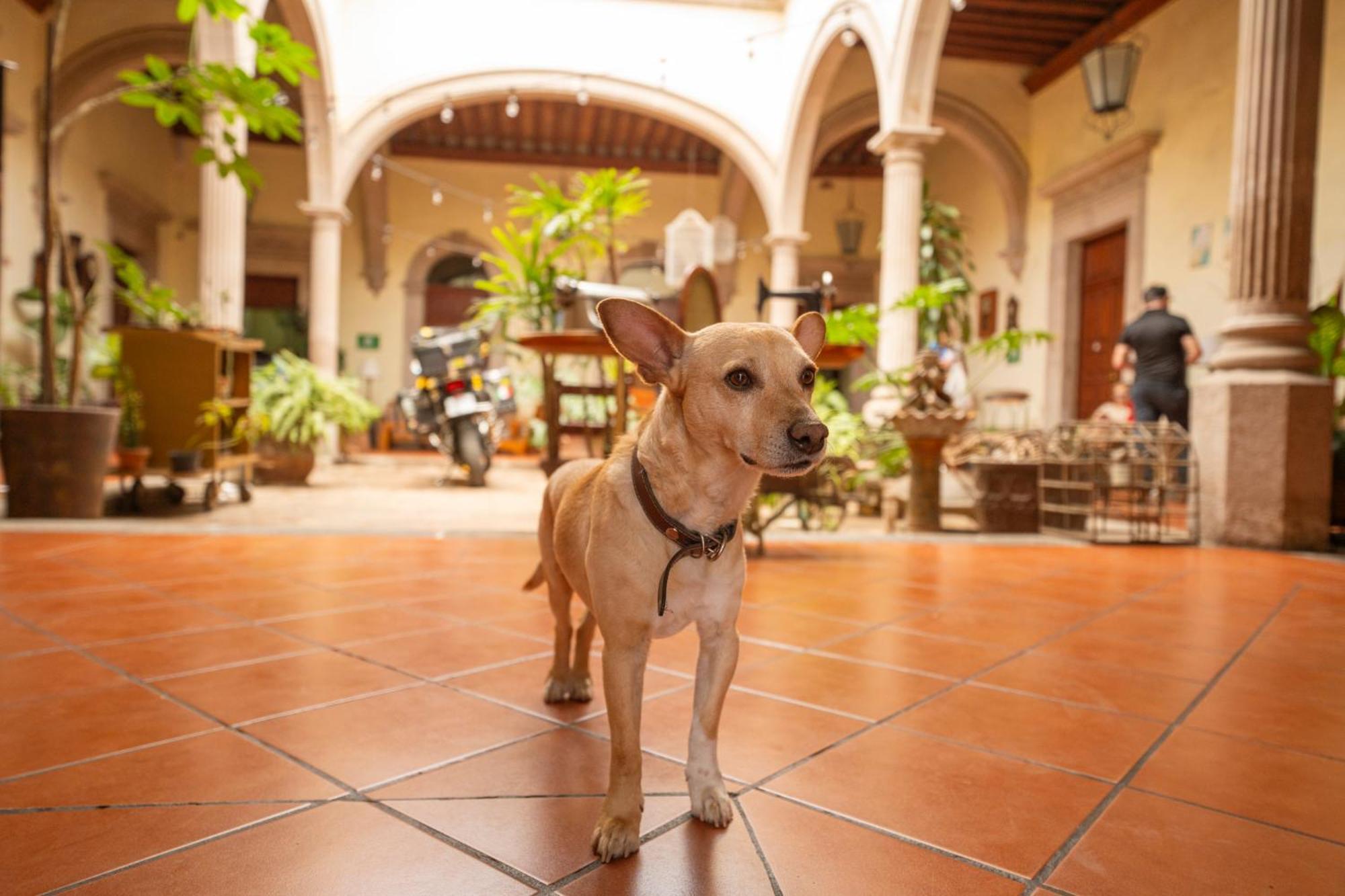 Hotel Posada San Agustin Durango Kültér fotó